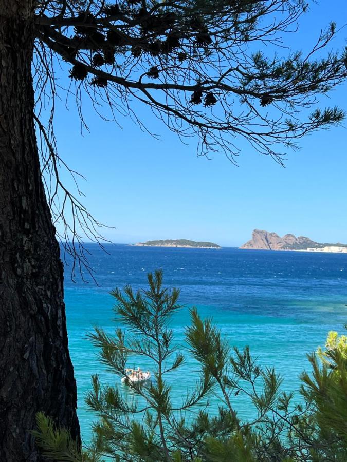 Appartement Entre Village Et Plages. Saint-Cyr-sur-Mer Εξωτερικό φωτογραφία