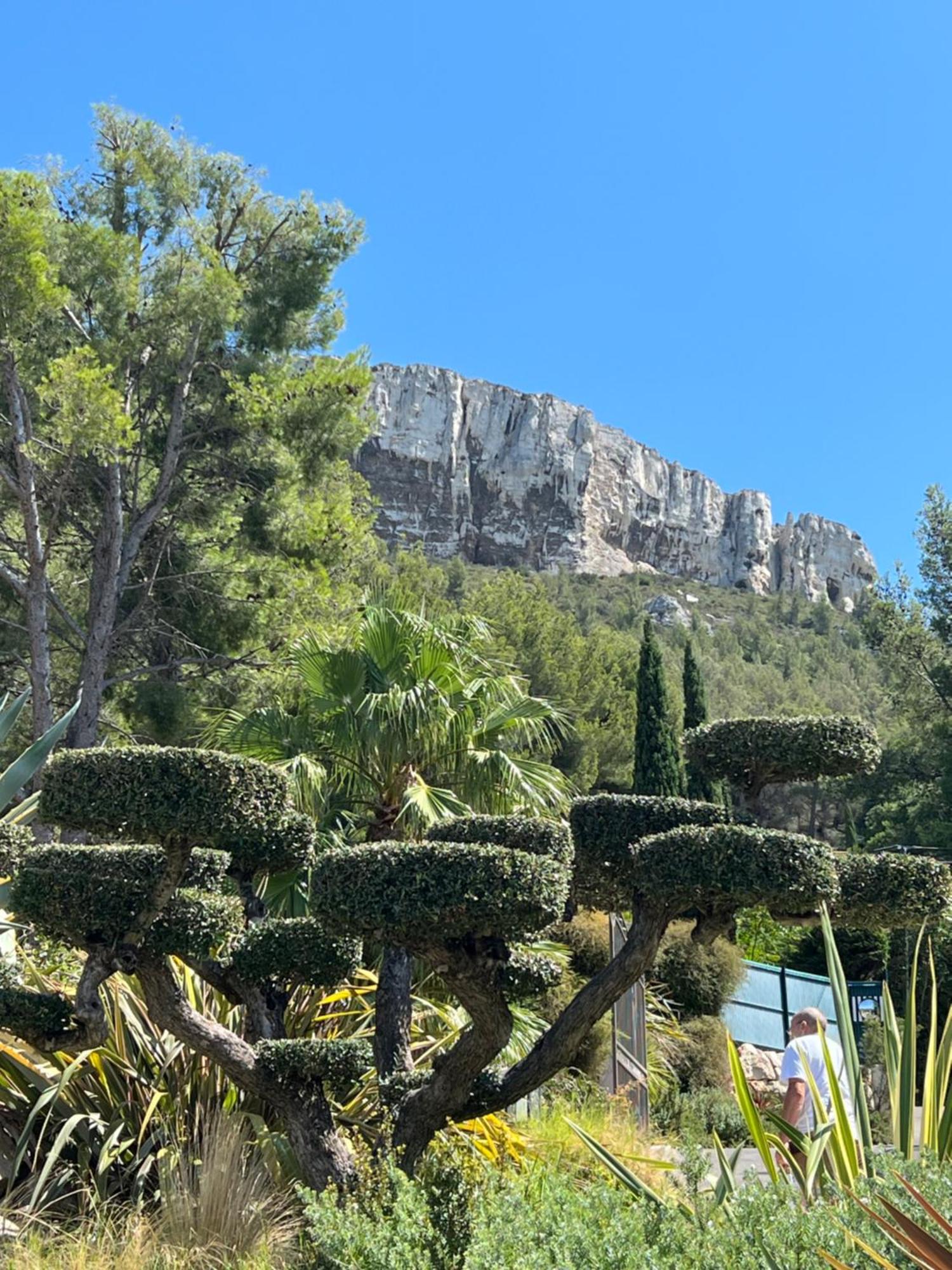 Appartement Entre Village Et Plages. Saint-Cyr-sur-Mer Εξωτερικό φωτογραφία